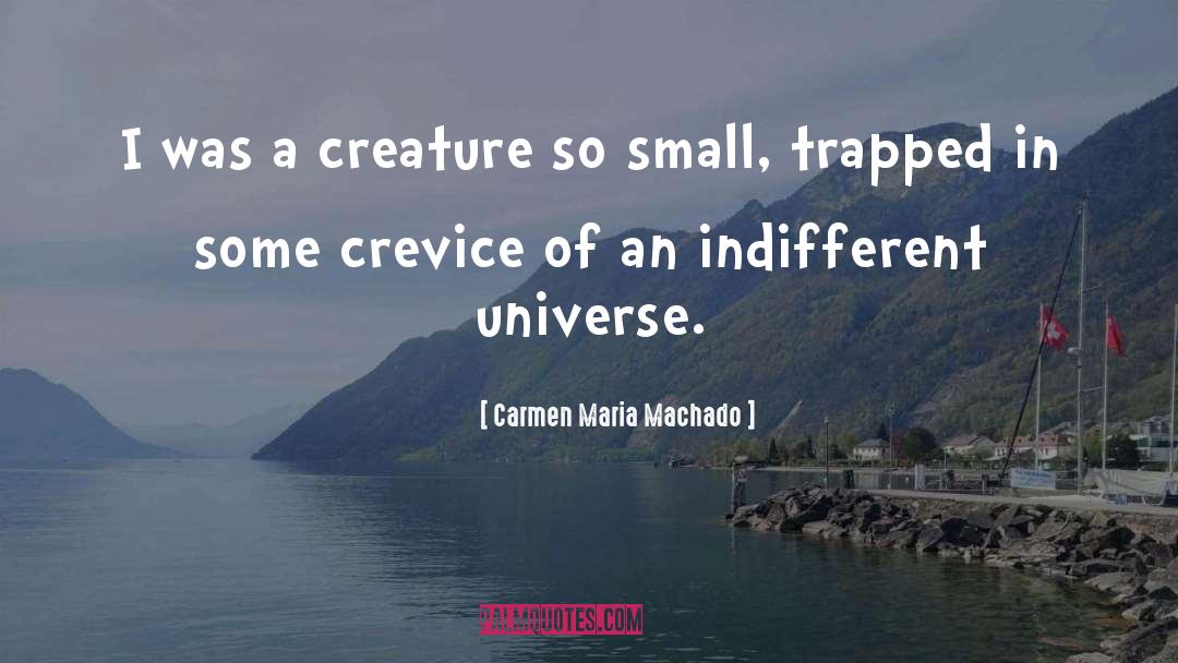 Carmen Maria Machado Quotes: I was a creature so