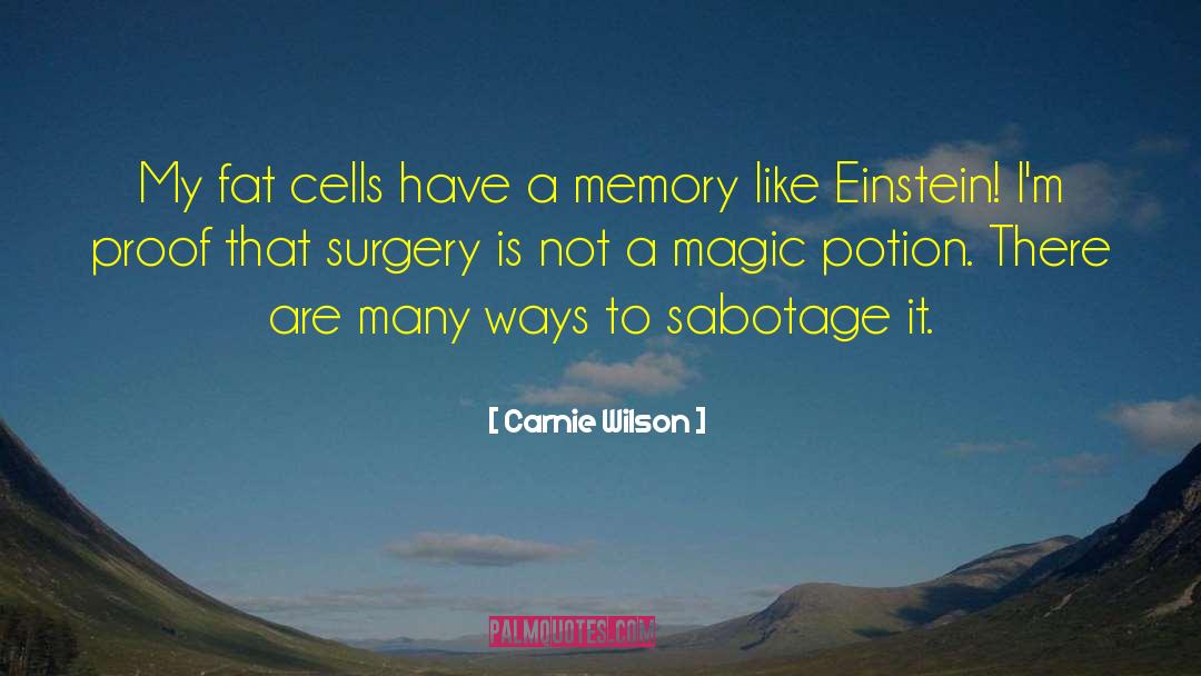 Carnie Wilson Quotes: My fat cells have a