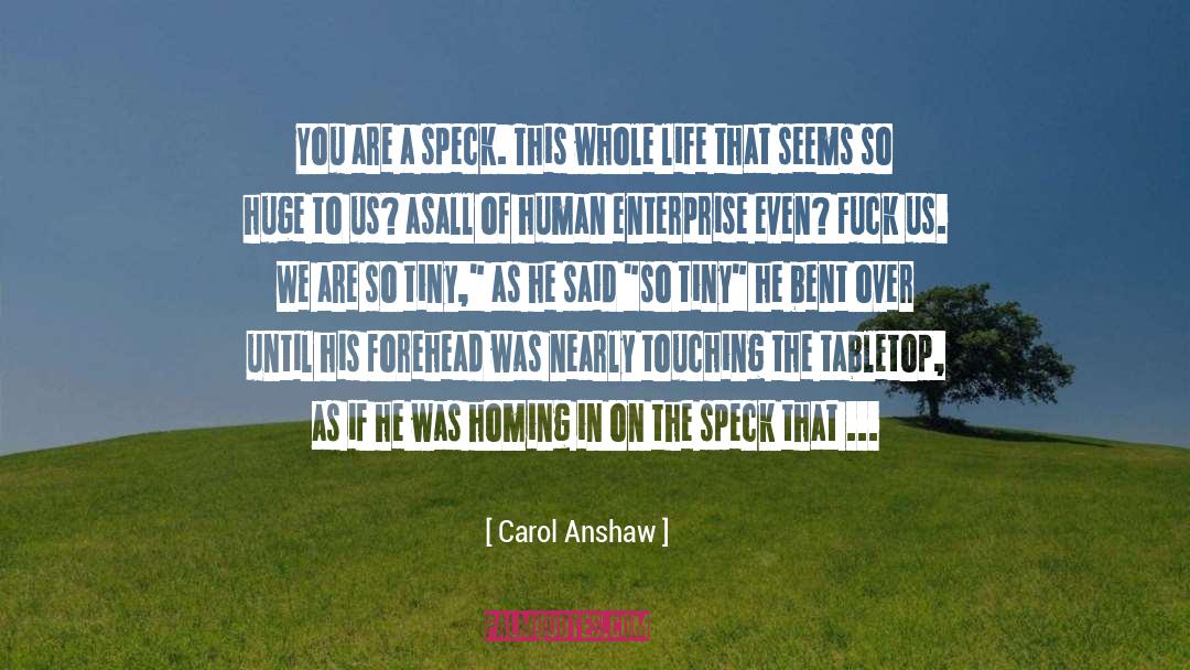 Carol Anshaw Quotes: You are a speck. This