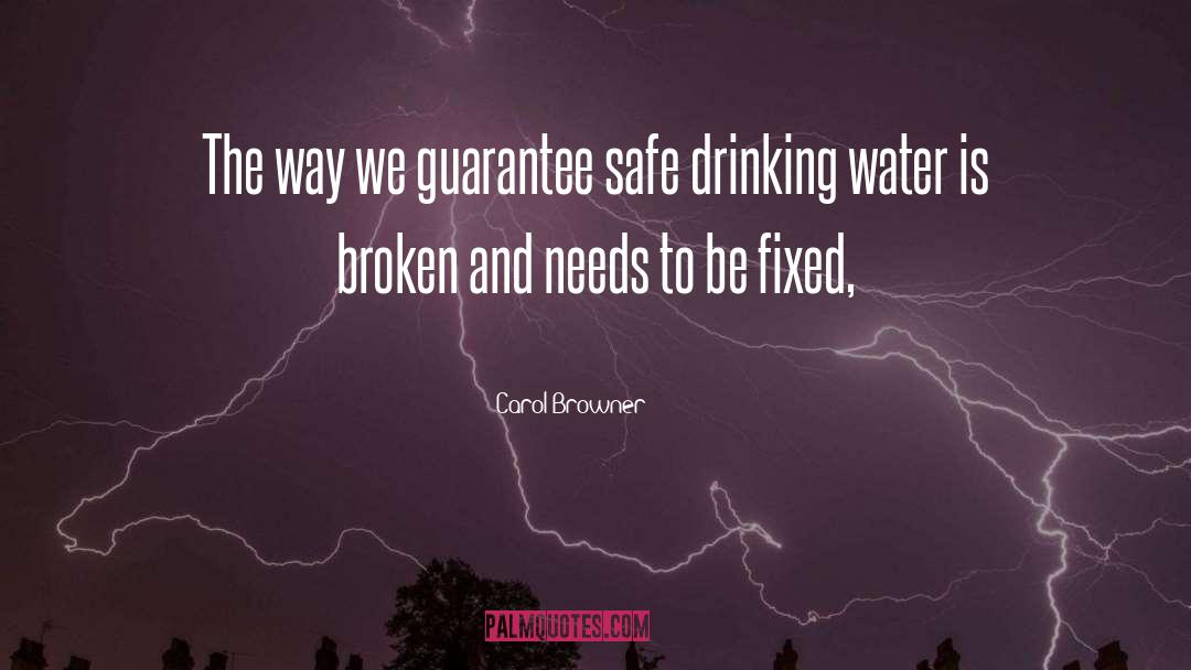 Carol Browner Quotes: The way we guarantee safe