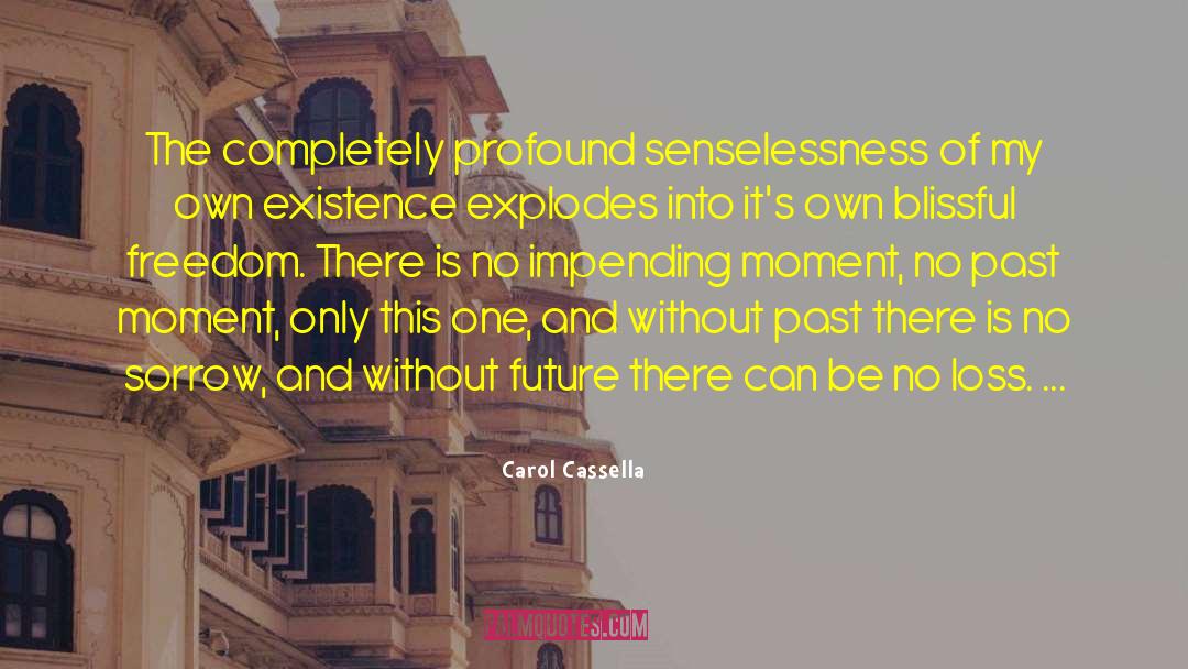 Carol Cassella Quotes: The completely profound senselessness of