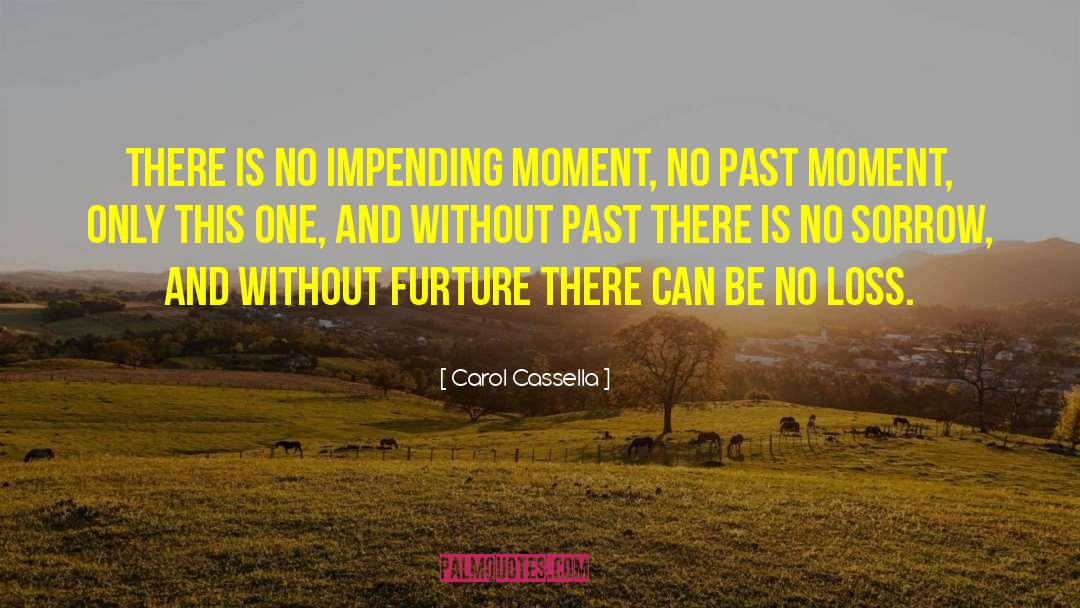 Carol Cassella Quotes: There is no impending moment,