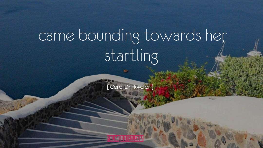 Carol Drinkwater Quotes: came bounding towards her, startling