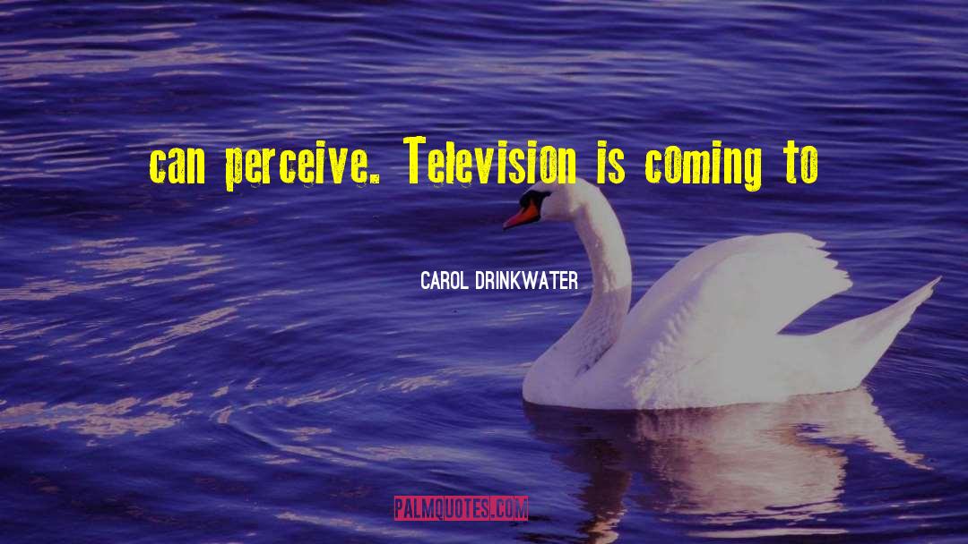 Carol Drinkwater Quotes: can perceive. Television is coming