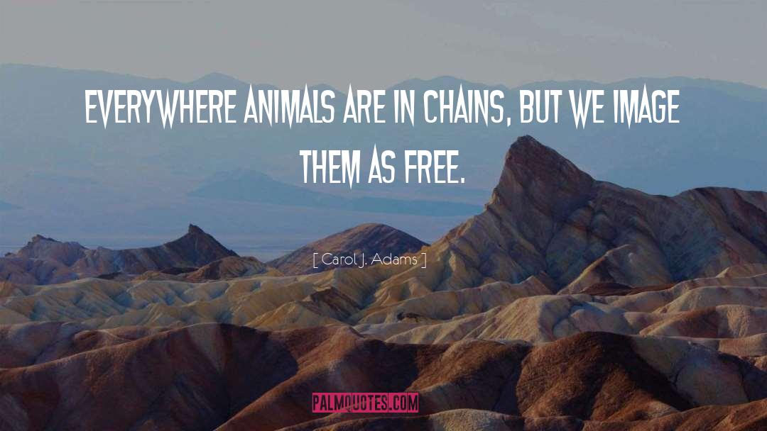 Carol J. Adams Quotes: Everywhere animals are in chains,