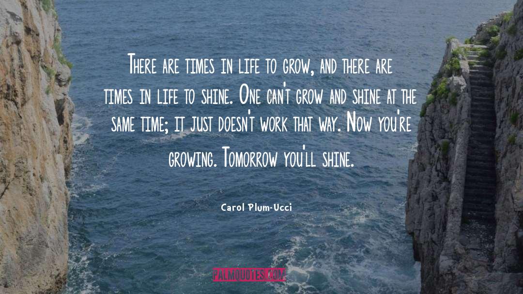 Carol Plum-Ucci Quotes: There are times in life