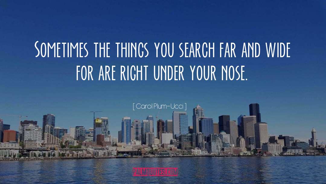 Carol Plum-Ucci Quotes: Sometimes the things you search