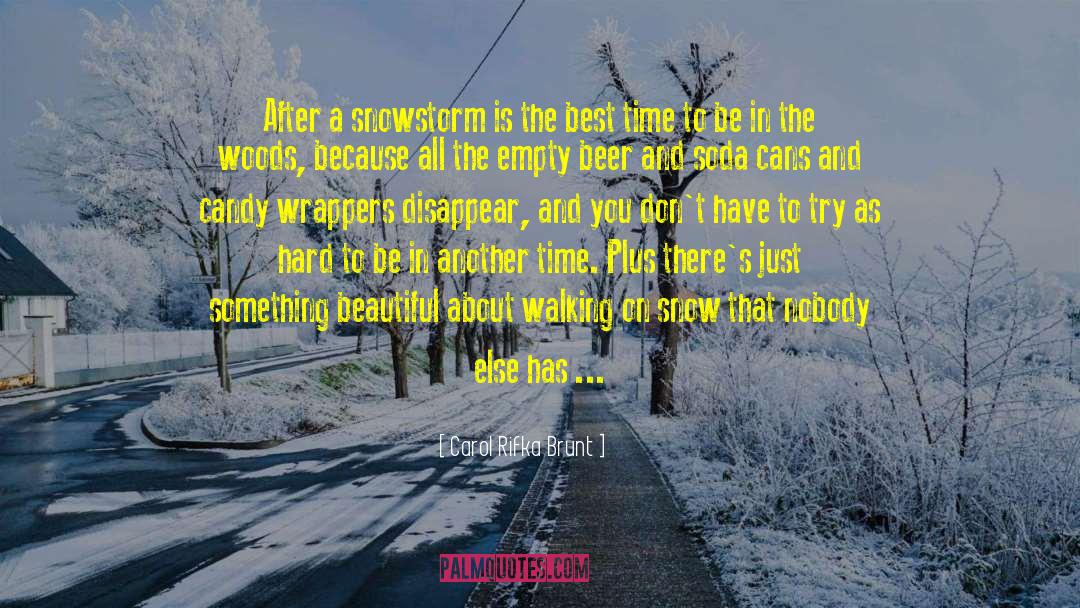 Carol Rifka Brunt Quotes: After a snowstorm is the