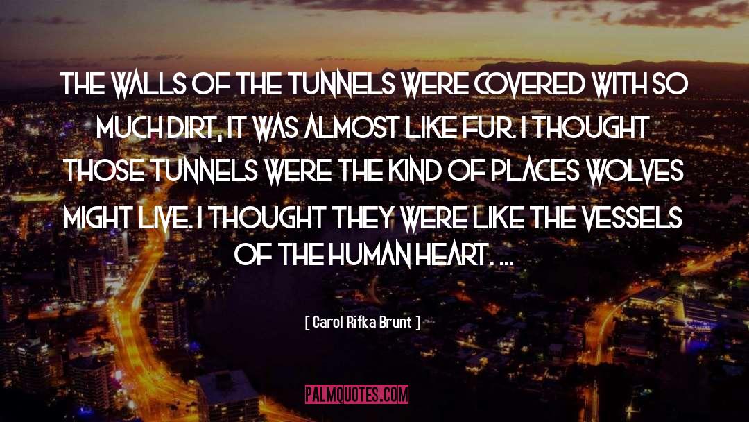 Carol Rifka Brunt Quotes: The walls of the tunnels