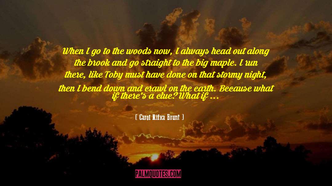 Carol Rifka Brunt Quotes: When I go to the
