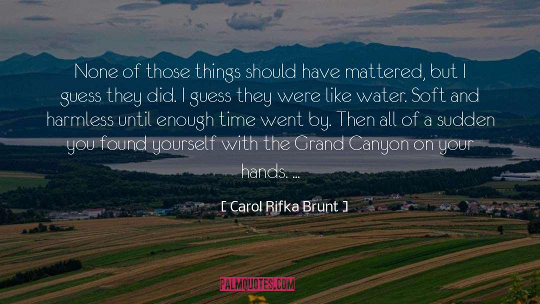 Carol Rifka Brunt Quotes: None of those things should