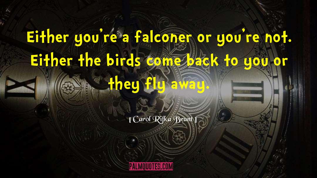 Carol Rifka Brunt Quotes: Either you're a falconer or