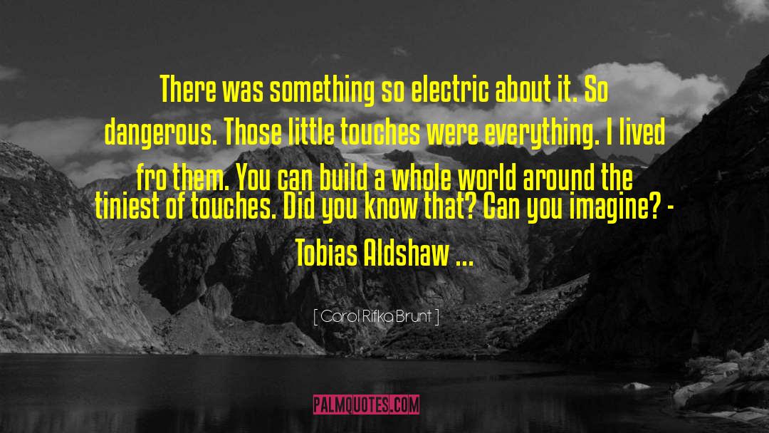 Carol Rifka Brunt Quotes: There was something so electric
