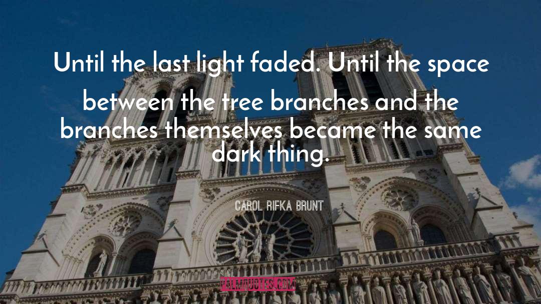 Carol Rifka Brunt Quotes: Until the last light faded.