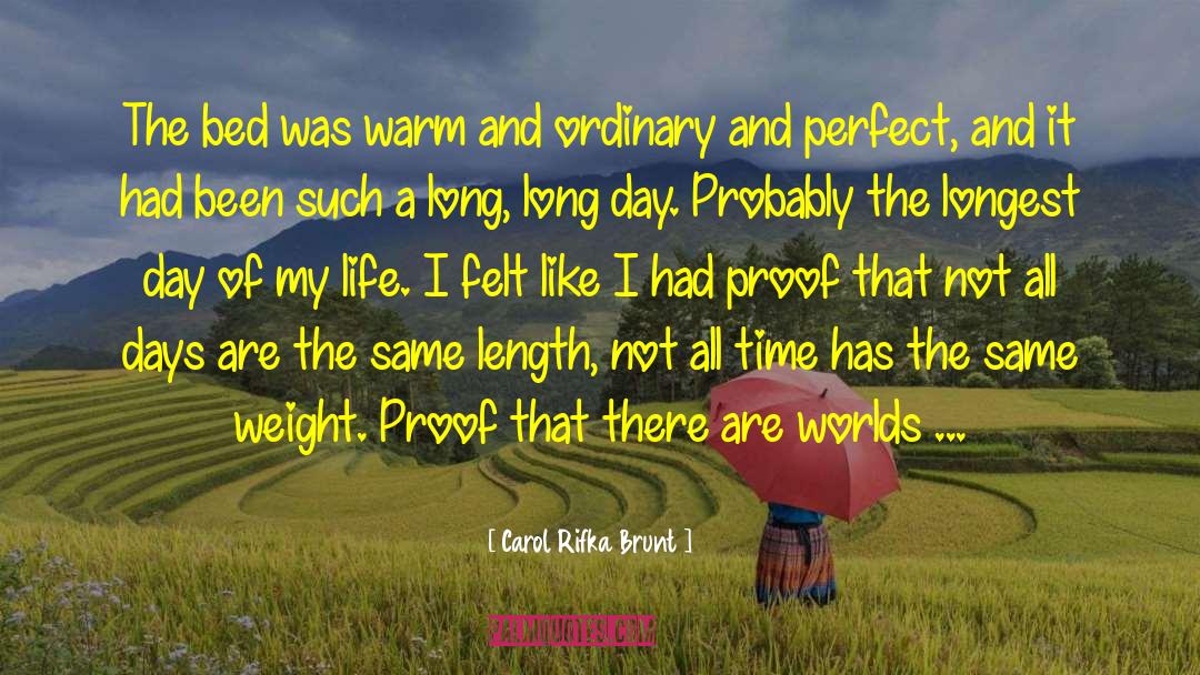 Carol Rifka Brunt Quotes: The bed was warm and