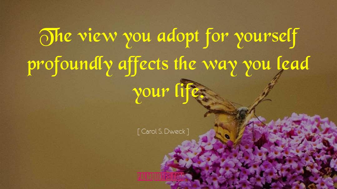 Carol S. Dweck Quotes: The view you adopt for