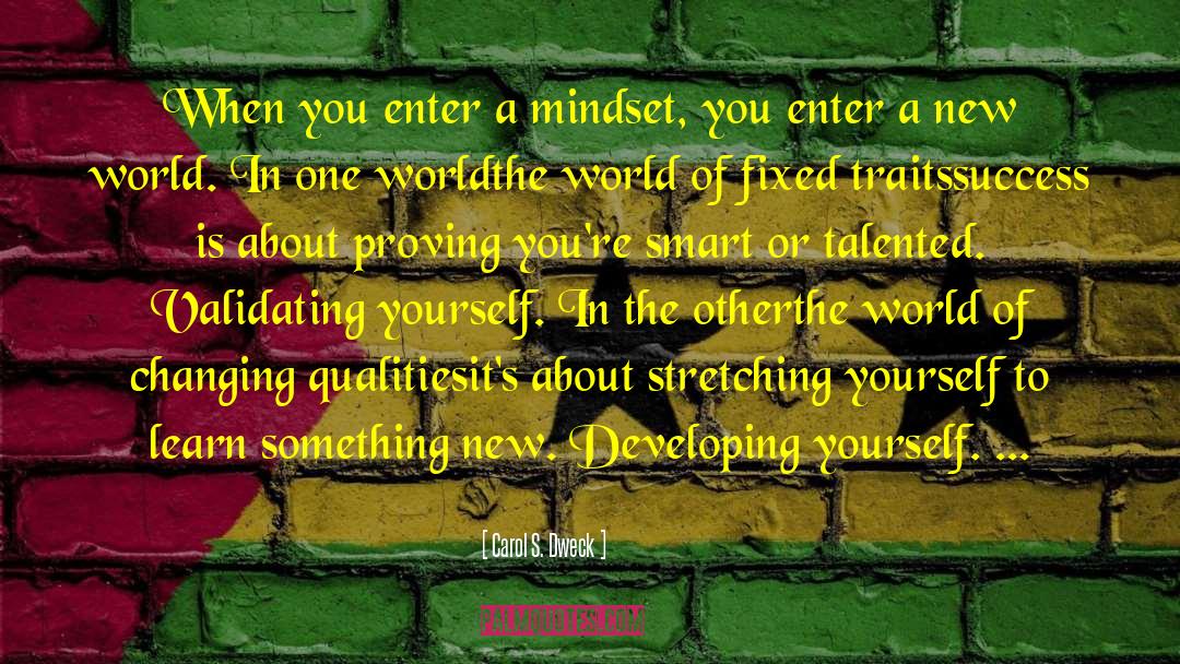 Carol S. Dweck Quotes: When you enter a mindset,