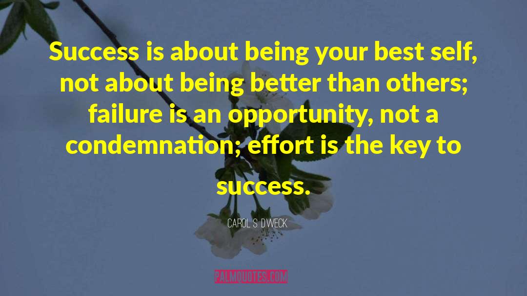 Carol S. Dweck Quotes: Success is about being your