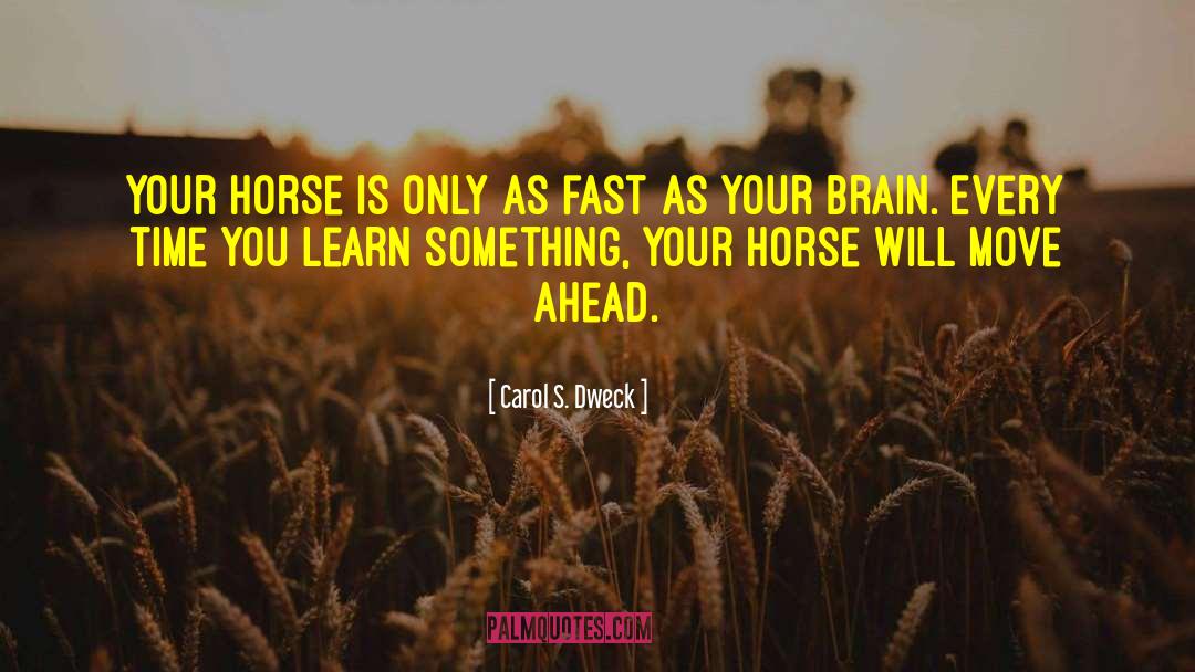 Carol S. Dweck Quotes: Your horse is only as