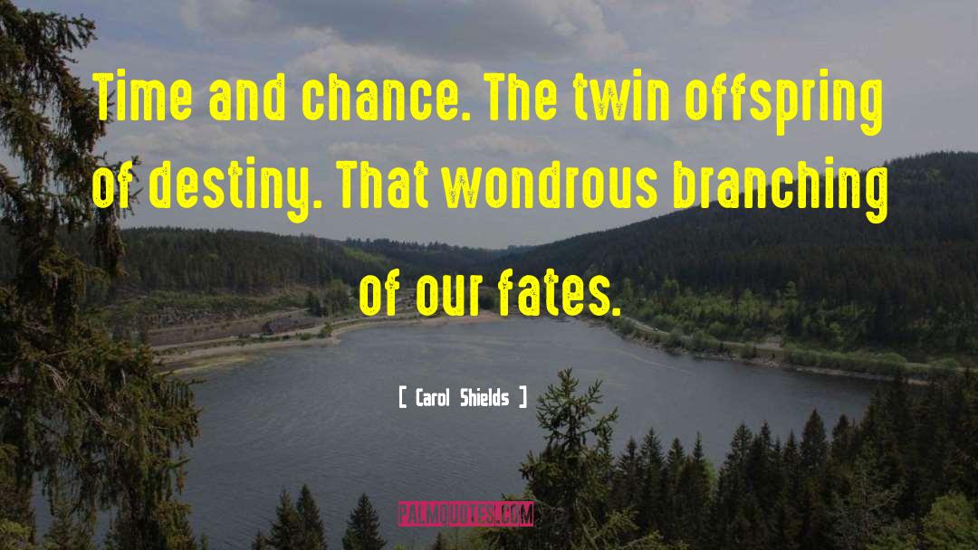 Carol Shields Quotes: Time and chance. The twin
