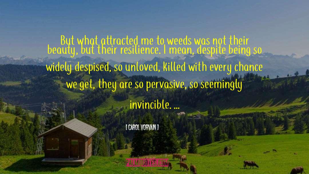 Carol Vorvain Quotes: But what attracted me to