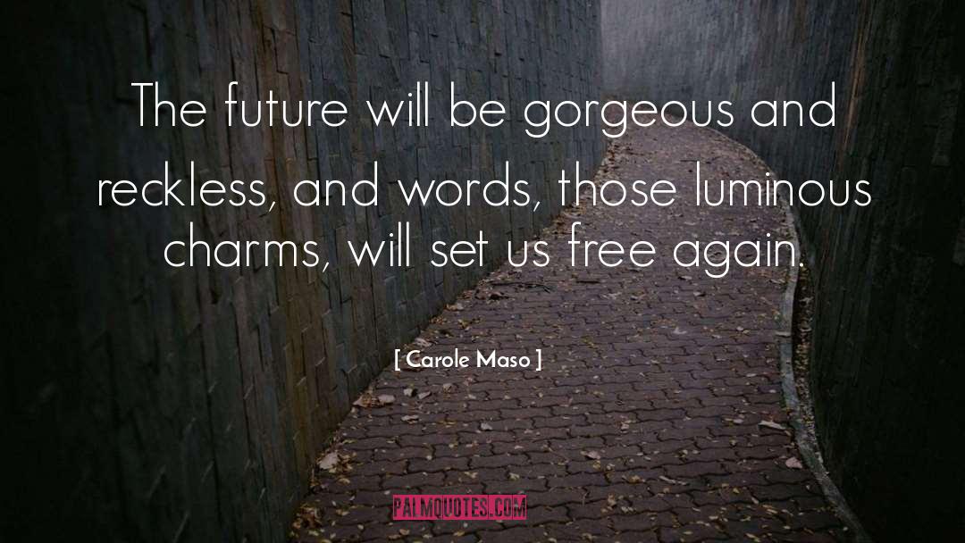 Carole Maso Quotes: The future will be gorgeous