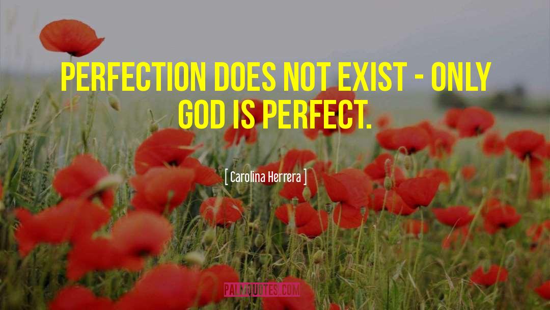 Carolina Herrera Quotes: Perfection does not exist -