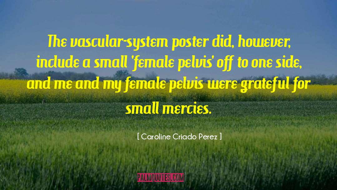 Caroline Criado Perez Quotes: The vascular-system poster did, however,