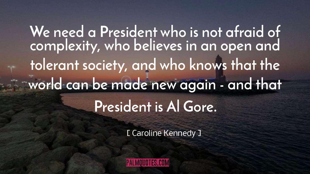 Caroline Kennedy Quotes: We need a President who