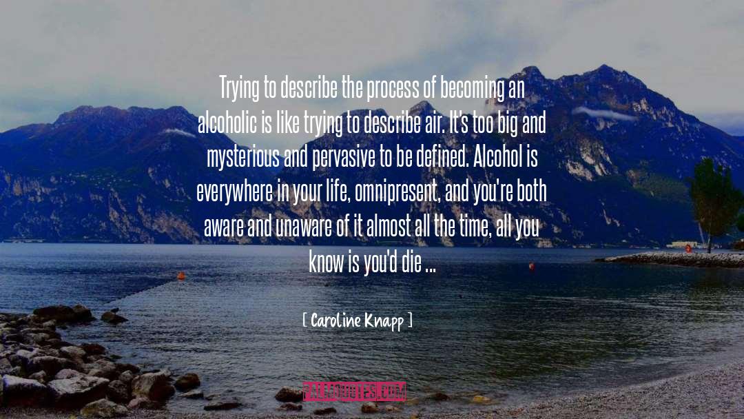 Caroline Knapp Quotes: Trying to describe the process