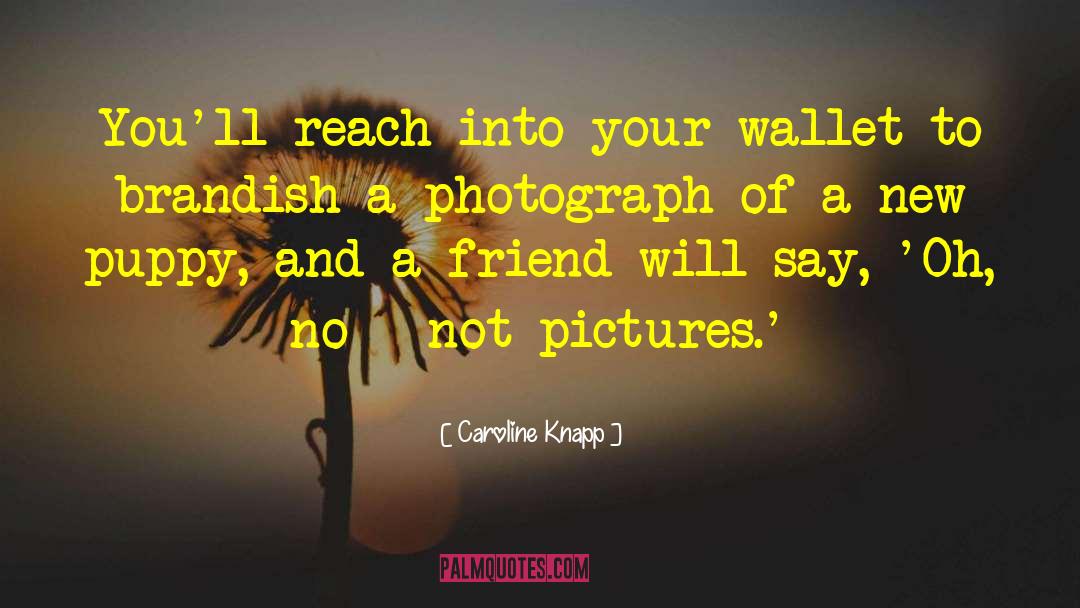 Caroline Knapp Quotes: You'll reach into your wallet
