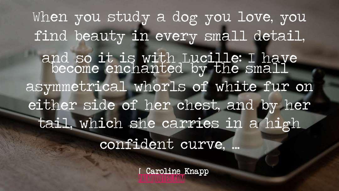 Caroline Knapp Quotes: When you study a dog