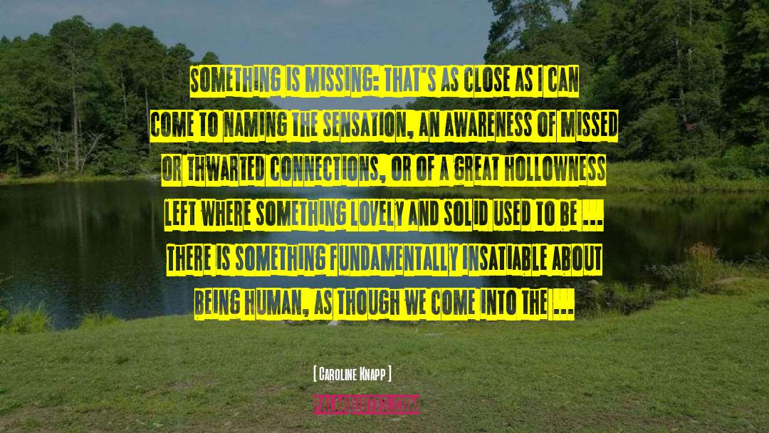 Caroline Knapp Quotes: Something is missing: that's as