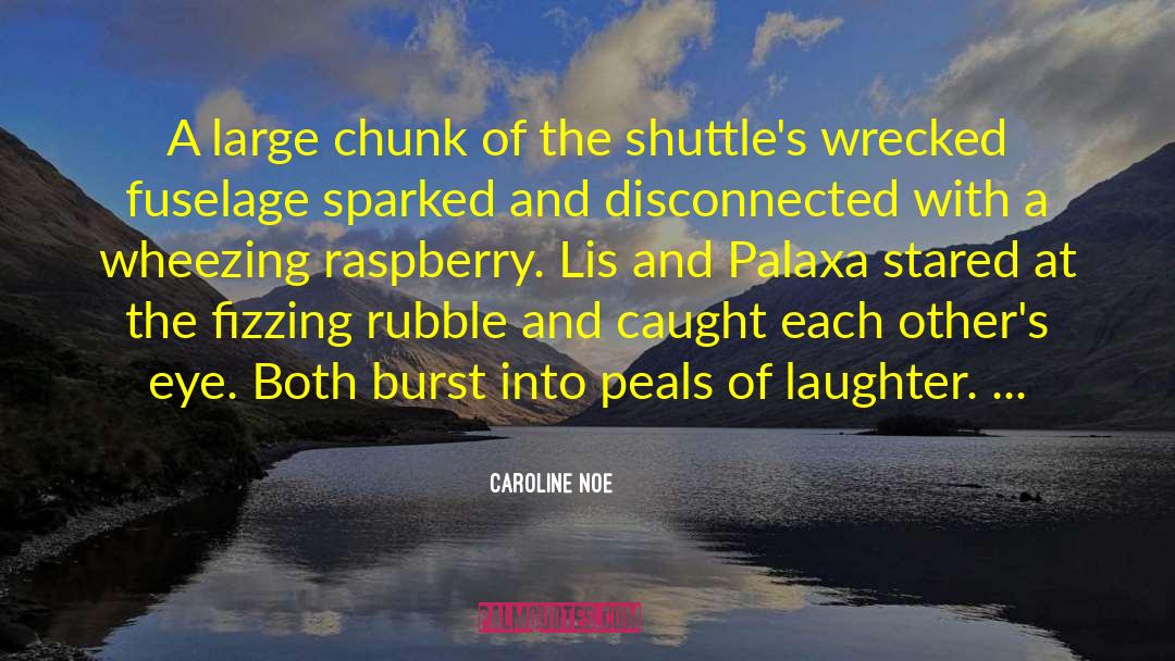 Caroline Noe Quotes: A large chunk of the