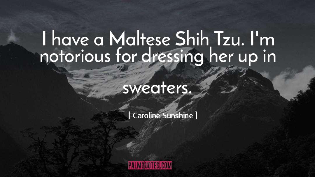 Caroline Sunshine Quotes: I have a Maltese Shih