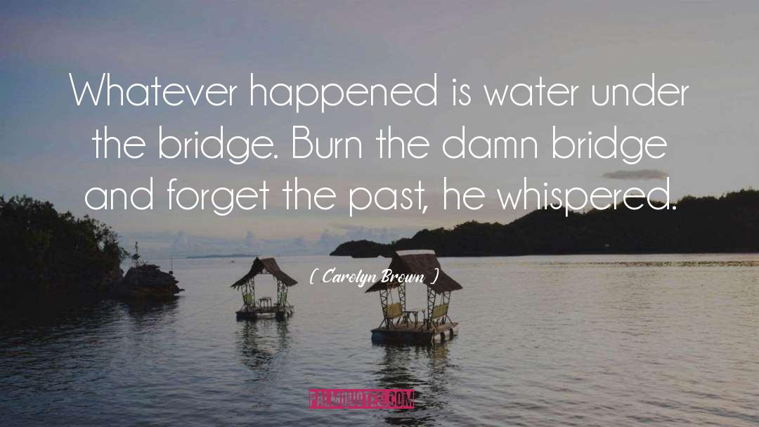 Carolyn Brown Quotes: Whatever happened is water under