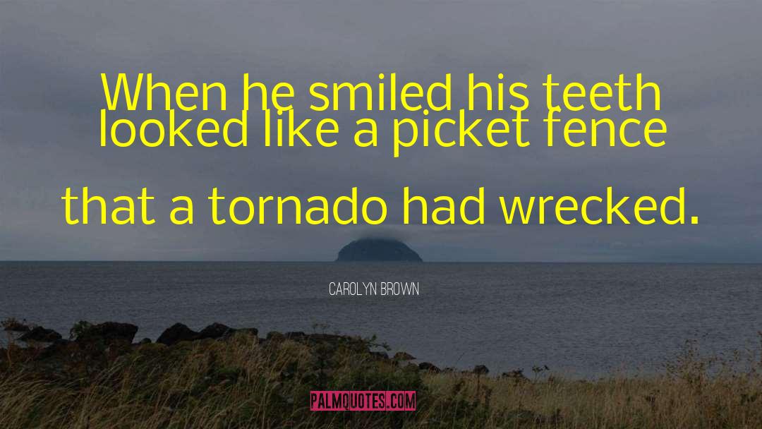 Carolyn Brown Quotes: When he smiled his teeth