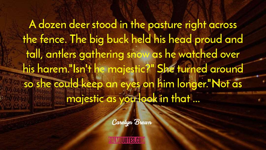 Carolyn Brown Quotes: A dozen deer stood in