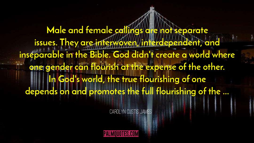 Carolyn Custis James Quotes: Male and female callings are