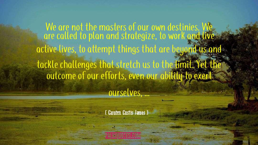 Carolyn Custis James Quotes: We are not the masters