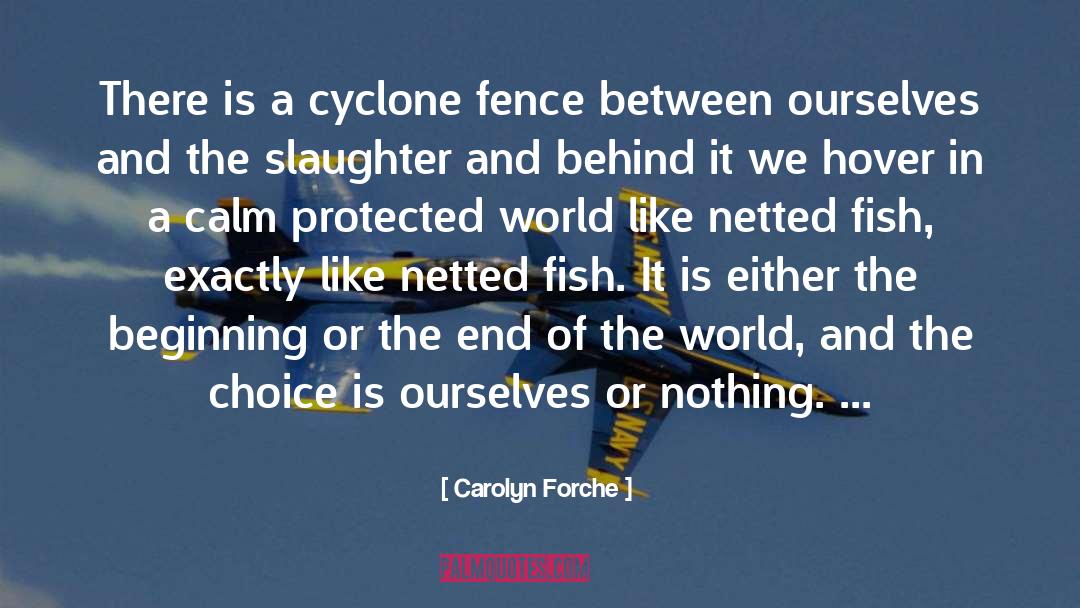 Carolyn Forche Quotes: There is a cyclone fence