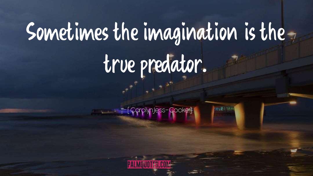 Carolyn Jess-Cooke Quotes: Sometimes the imagination is the
