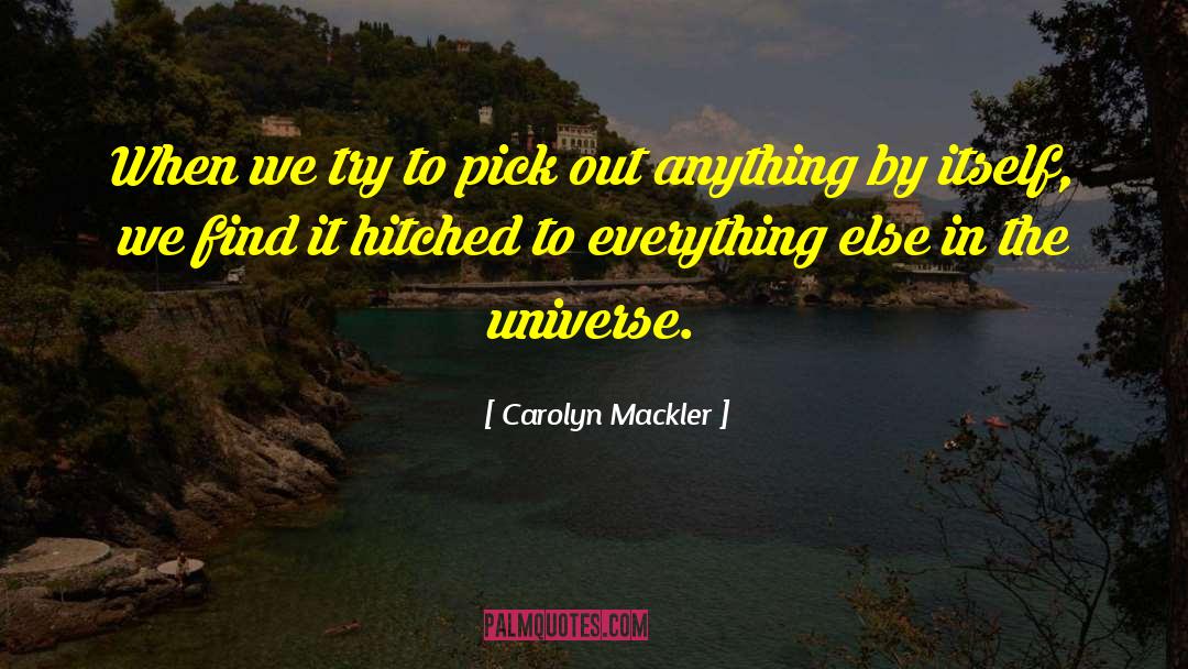 Carolyn Mackler Quotes: When we try to pick