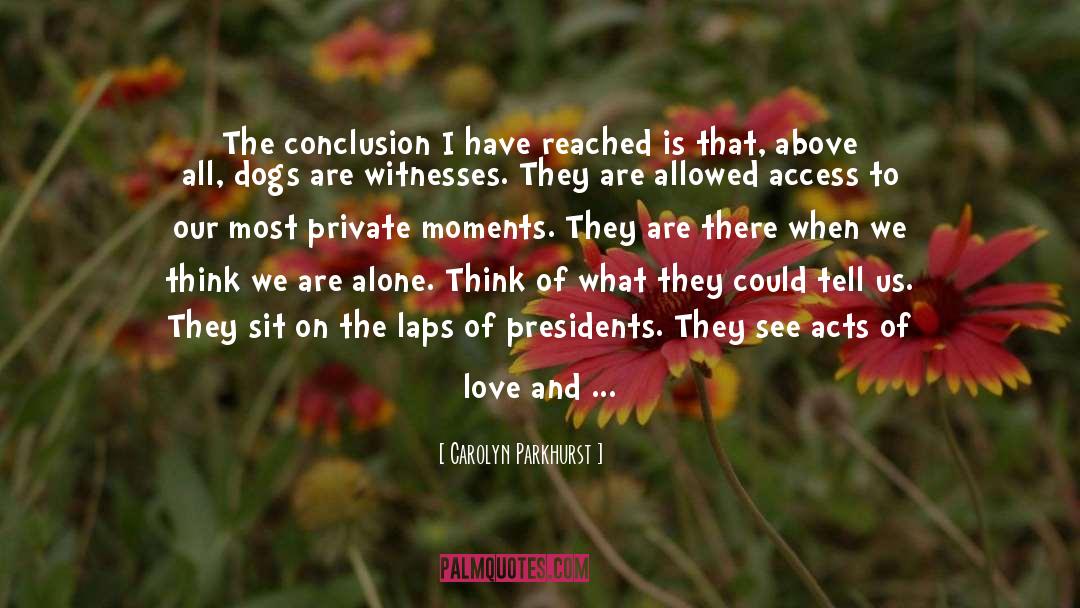 Carolyn Parkhurst Quotes: The conclusion I have reached