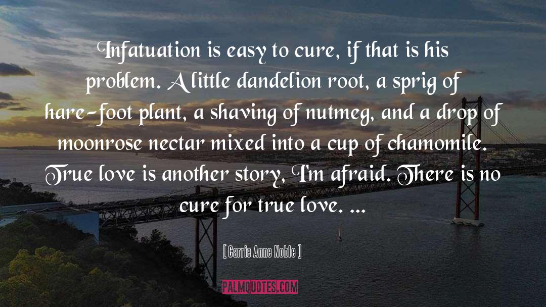 Carrie Anne Noble Quotes: Infatuation is easy to cure,
