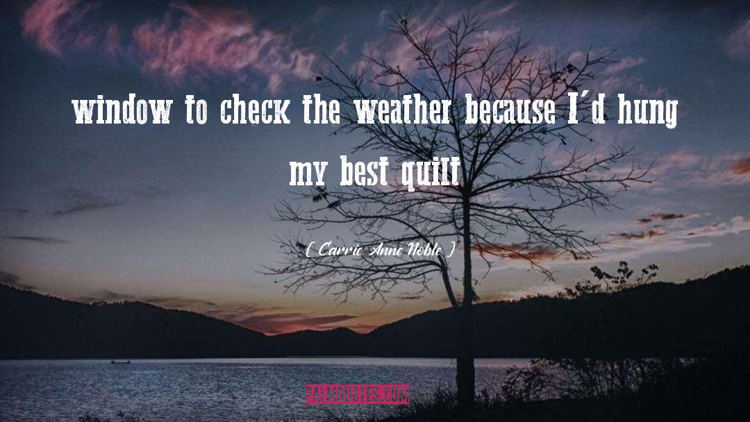 Carrie Anne Noble Quotes: window to check the weather