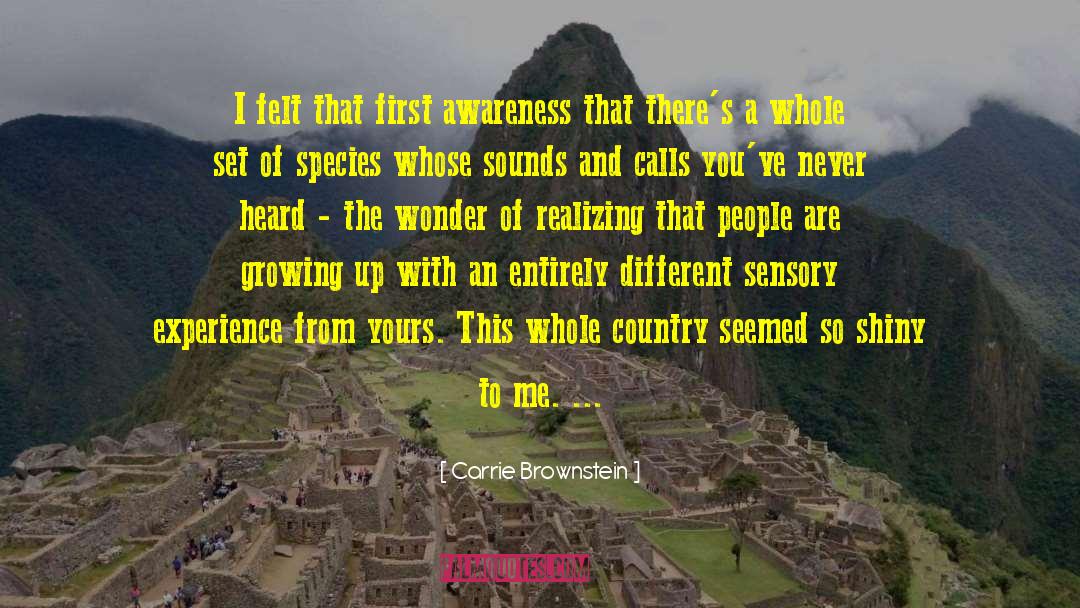 Carrie Brownstein Quotes: I felt that first awareness