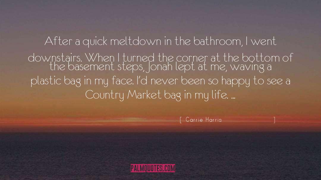 Carrie Harris Quotes: After a quick meltdown in