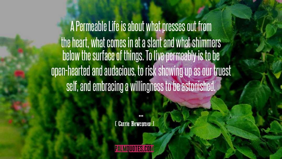 Carrie Newcomer Quotes: A Permeable Life is about