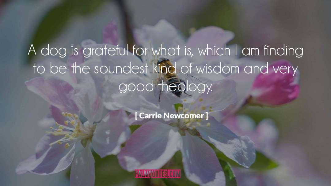 Carrie Newcomer Quotes: A dog is grateful for